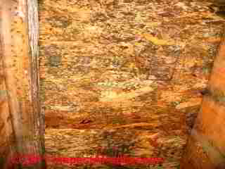 Photo of mold on OSB roof sheathing  (C) Daniel Friedman
