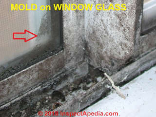 Mold growth on window glass (C) Daniel Friedman at InspectApedia.com