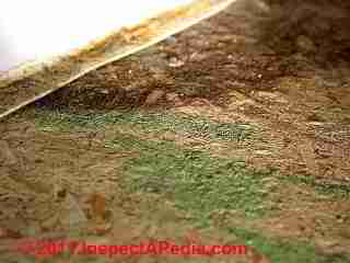 Photo of mold on OSB or fiberboard floor underlayment  (C) Daniel Friedman