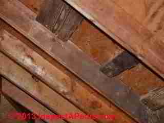 Dark stains on rafters in an attic - is this mold? (C) 2013 InspectAPedia