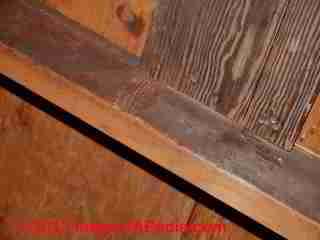 Dark stains on rafters in an attic - is this mold? (C) 2013 InspectAPedia