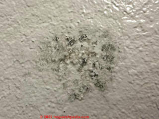 Mold in wall cavity due to HVAC leak (C) InspectApedia.com Donnie