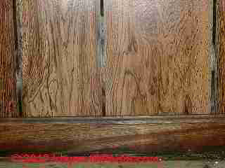 Photo of mold on wood paneling grooves (C) Daniel Friedman