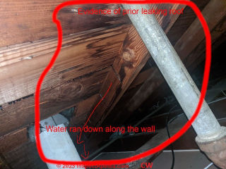 Leak steains under roof and into building can be an odor source - mold, for example (C) InspectApedia.com Widmer