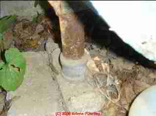 Photograph of  an oil tank with questionable support - courtesy Arlene Puentes, Kingston NY