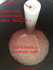 Put the bleach in the brine tank float valve well not onto the salt (C) Daniel Friedman at InspectApedia.com