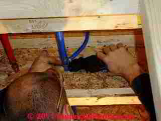 PEX Water Piping installation (C) D Friedman Galow Homes