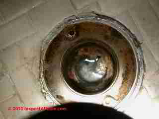 Sewer odor and clogged shower floor drain (C) Daniel Friedman