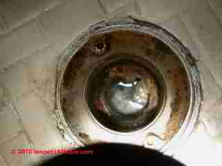 Clogged shower drain (C) Daniel Friedman