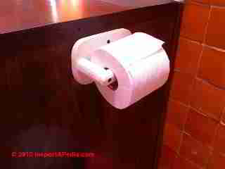 Toilet paper San Miguel de Allende (C) Daniel Friedman