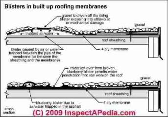 Roof blisters explained (C) Carson Dunlop Associates