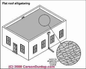 Low slope and flat roof blistering (C) Carson Dunlop Associates