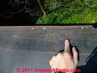 Leak in flat roof © D Friedman at InspectApedia.com 