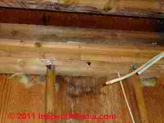 EPDM roof leak shown from inside (C) Daniel Friedman