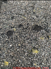 Asphalt shingle damage from hail may be affected by prior blistering (C) InspectApedia.com PB