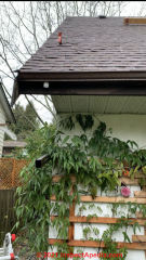 Curled or lifted shingles on a new roof installation may be OK (C) InspectApedia.com Maha