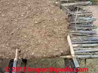 Sod roof in el Charco, San Miguel de Allende Mexico (C) Daniel Friedman