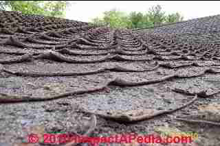 Fishmouthed roof shingle fail(C) Daniel Friedman