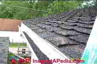 Fishmouthed roof shingle fail(C) Daniel Friedman