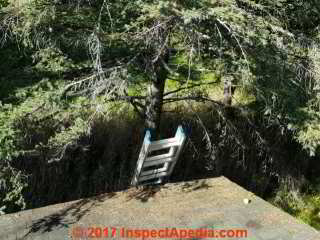 Ladder safety: climbing onto a debris-strewn roof is dangerous (C) Daniel Friedman