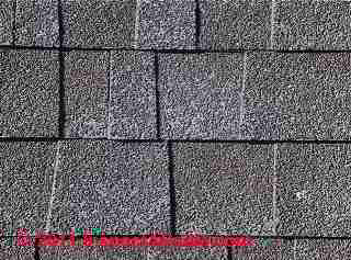 Hail damaged shingle - scouring (C) Daniel Friedman