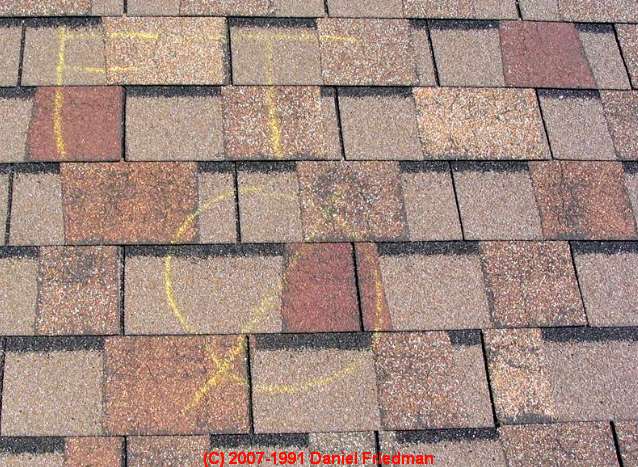 hail damaged shingles