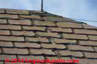 Worn fiber cement roofing on a 1986 building in Omaru, New Zealand (C) Daniel Friedman