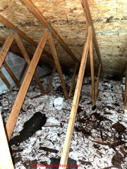 Moldy insulation after roof repair (C) InspectApedia.com Margy