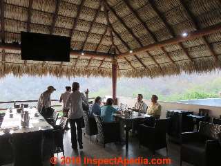 Palm thatch roof, Oxaca Mexico (C) Daniel Friedman