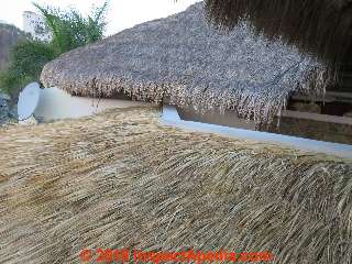 Palm thatch roofing, Oxaca Mexico (C) Daniel Friedman