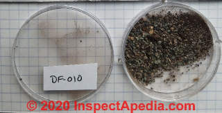 Roof granules from a Houston TX home tested for Asbestos (C) Daniel Friedman at InspectApedia.com