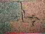 Bad asphalt shingles
