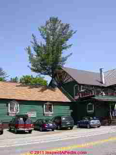 Tree through roof chimneyTupper Lake NY © D Friedman at InspectApedia.com 