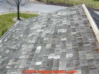 Galvanized steel flashing at ridge helps keep moss and algae off of this wood shingle roof (C) Daniel Friedman