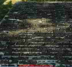 Bald, worn-out organic asphalt roof shingles