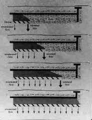 CLICK for LARGER IMAGE - This illustration shows the stages in soil clogging of a septic
system drain field as the biomat grows from the low-end, up the length and up the sides of the trench.