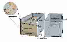 Illustration of a Gravel Media Filter Septic System - Boxerwood Aroboretum and Nature Center, Lexington VA