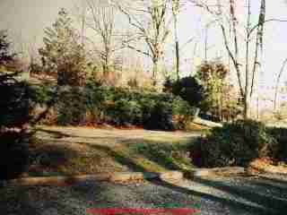 PHOTO of a stepped-mound system with inappropriate plantings on its sides.