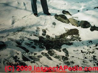 LARGER VIEW of effluent breakout without septic dye in a snow-covered area in a yard - evidence of a failed septic leach field