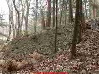 LARGER VIEW of a sloping bank mound system installed across a natural drainage cachment, an area where where we found effluent breakout at the ends of the septic mound - evidence of a failed septic leach field