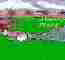 Sketch of a septic system