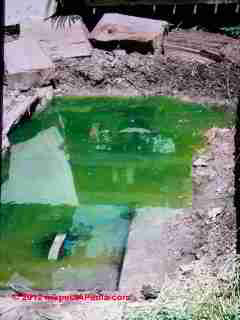 Green septic dye breakout at a new tank (C) D Friedman A Carson