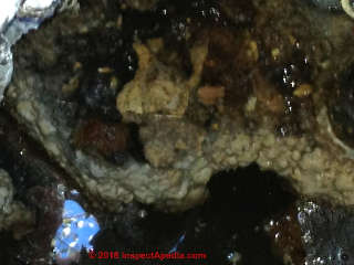 White waxy clog in sewage pump chamber (C) InspectApdedia.com reader