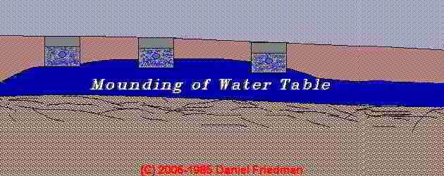 Water Table 4