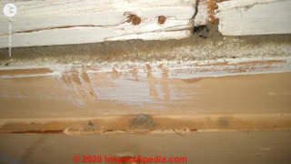 House dust on baseboard trim (C) InspectApedia.com Savannah