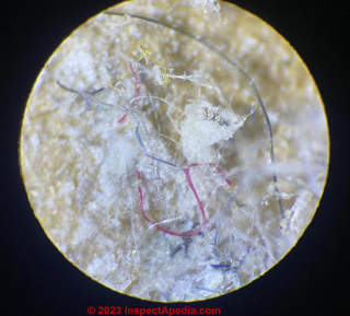 Microscopic house dust sample (C) InspectApedia.com Michael