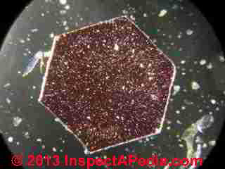 House dust particles - hexagonal reflective particles found in house dust sample (C) InspectApedia