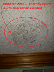Probable mold growth on popcorn painted ceiling that may contain asbestos (C) InspectApedia.com jason