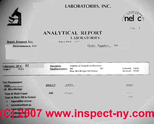 Student Tutorial: Introduction to Writing Lab Reports - The