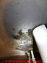 Moldy area on wall of rental apartment (C) InspectApedia.com Arica